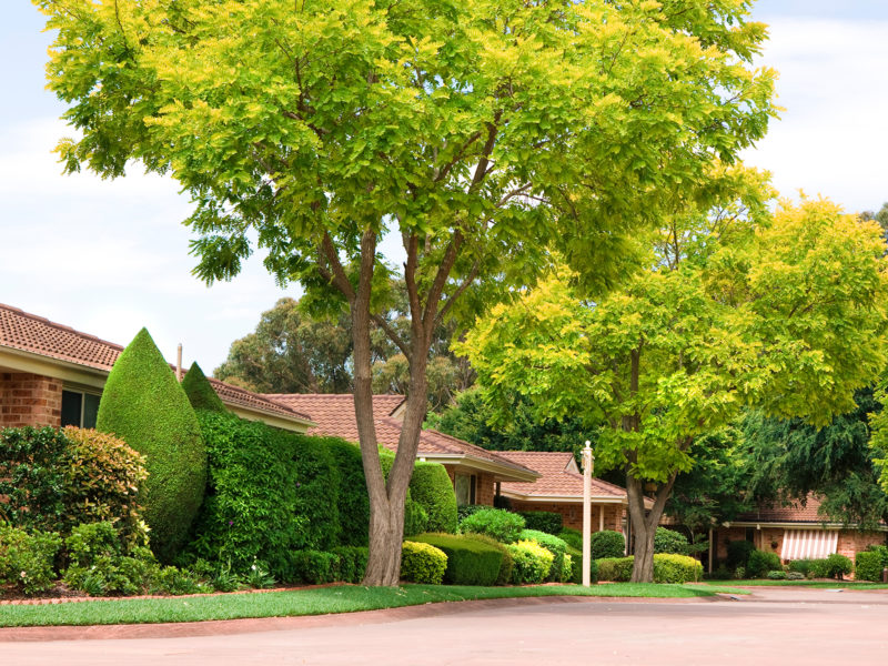 RetireAustralia Tarragal Glen Retirement Village Erina New South Wales street streetscape trees garden parkland independent living unit villa