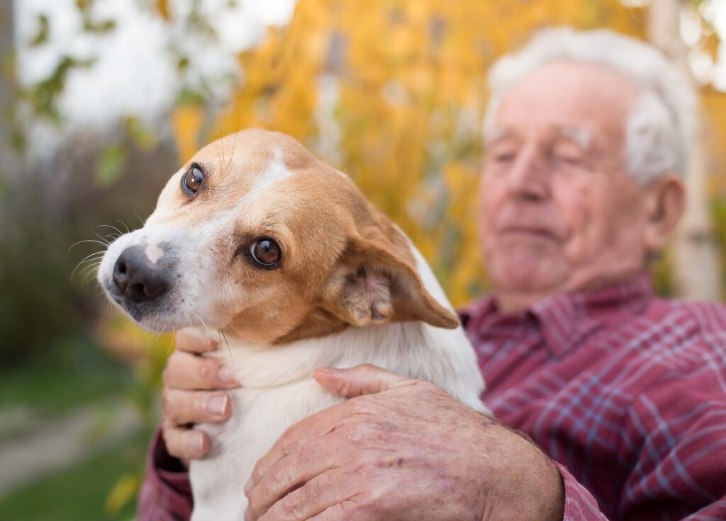 Having a pet in a retirement village RetireAustralia