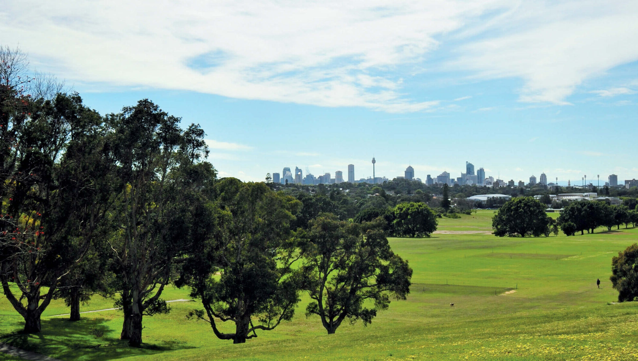 Queens Park Parklands with Sydney city scape in teh background