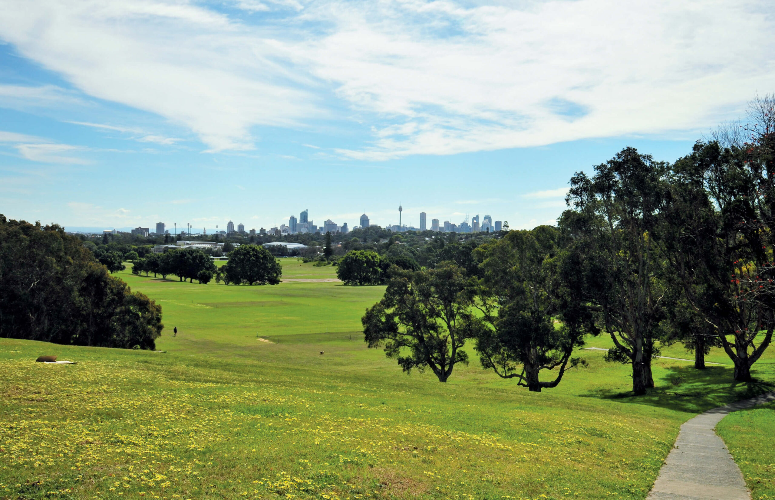 Queens Park Parklands with Sydney city scape in teh background